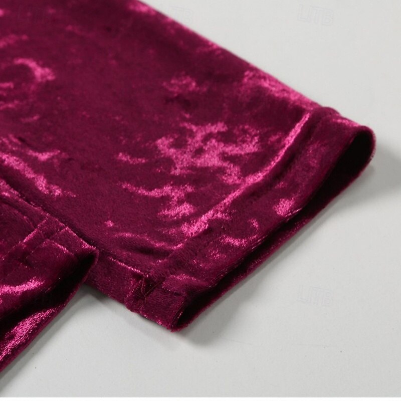 Per uomo Maglietta Maglietta in velluto Camicia a Maniche Lunghe Manica Lunga Dolcevita Primavera Autunno Semplice Moda Designer Essenziale Classico Vacanza Streetwear Uscire Vinaccia Nero Argenteo del 2026 a $17.49 –P17