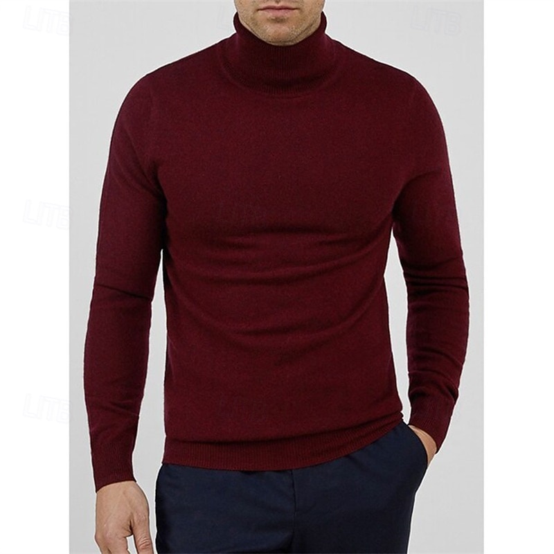 Herren Pullover Gerippt Stricken Normale Oberteile Gestrickt Schmale Passform Einfach Rollkragen Strickware Zeitgenössisch Lässig Alltagskleidung Bekleidung Frühling Herbst Winter Schwarz Gelb M L XL 2026 - $22.99 –P5