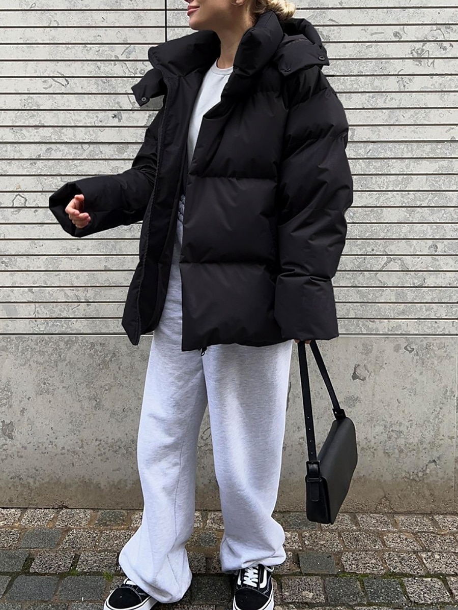 Dam Anorak Bekväm Andningsfunktion Dragkedja Ficka Ledigt Slät Semester Gata Ledigt Dagliga kläder Enkelknäppt Normal Huva Normal Långärmad Ytterkläder Svart Vin Brun Vår Höst 2025 - $109.99 –P6