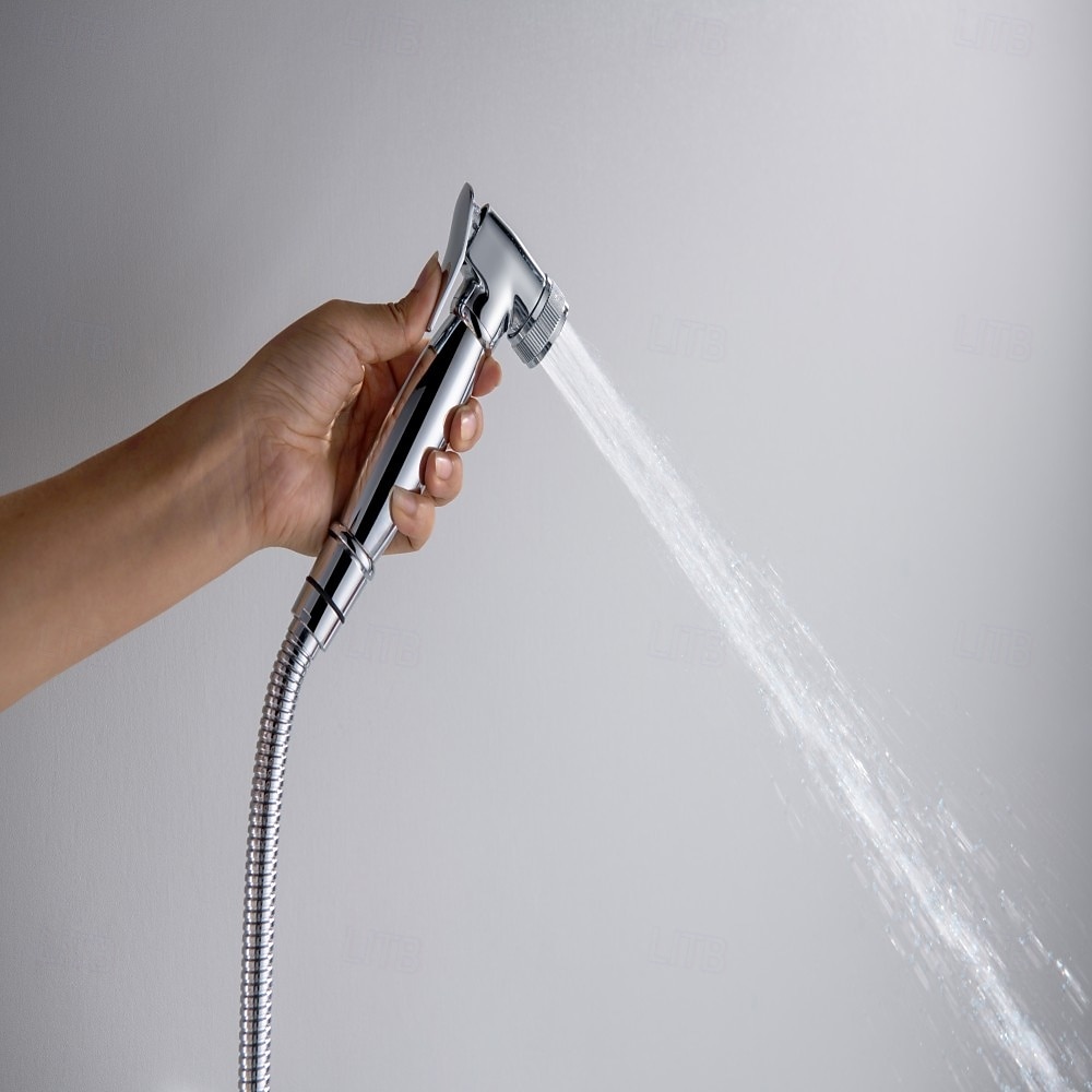 Bidet a foro singolo Cromo Autopulente Contemporaneo del 2026 a $275.39 –P5