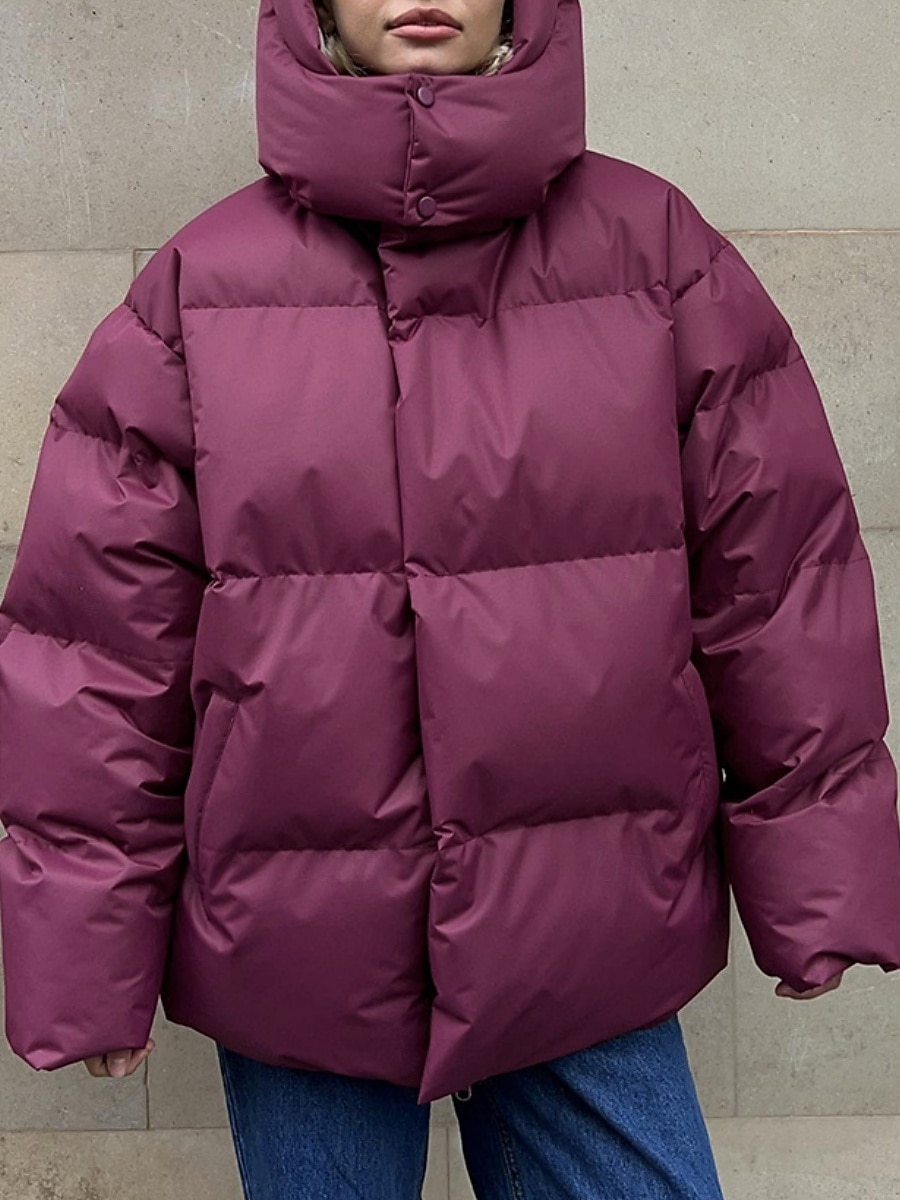 Dam Anorak Bekväm Andningsfunktion Dragkedja Ficka Ledigt Slät Semester Gata Ledigt Dagliga kläder Enkelknäppt Normal Huva Normal Långärmad Ytterkläder Svart Vin Brun Vår Höst 2025 - $109.99 –P14