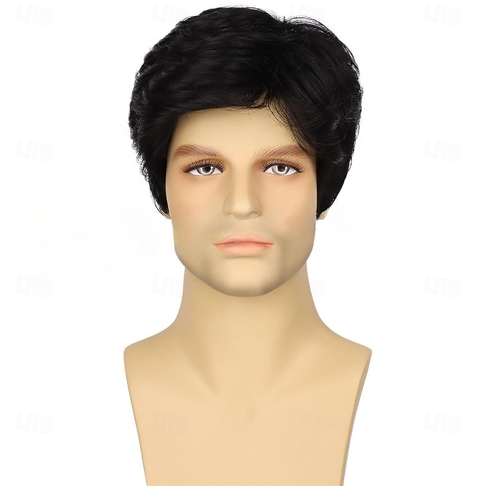Men's Black Wigs Short Wigs Natural Looking Heat Resistant Synthetic Hair with Adjustable Cap Black 180g 2026 - $21.99 –P2