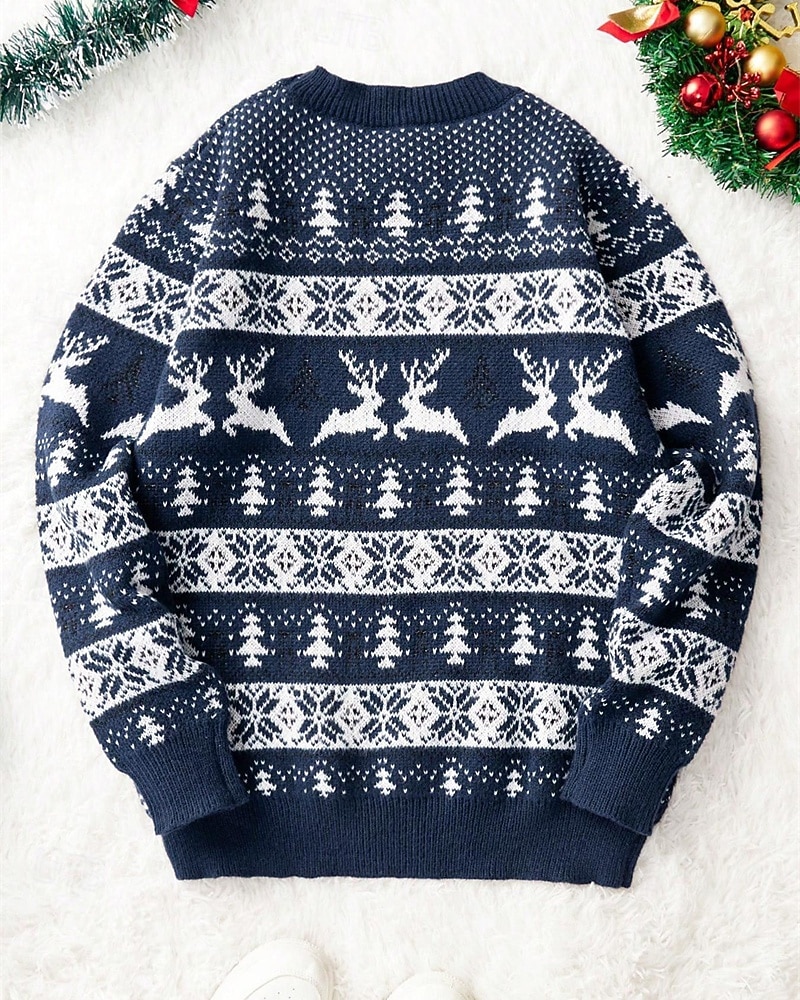 Homme Pull de Noël Pull de Noël moche Chandails de Noël pull de Noël Pull Côtelé Tricoter Hauts Réguliers Tricoté Chaque Col ras du cou Mode Basique Noël Vacances Vêtement Tenue Automne Hiver Rouge de 2026 ? $38.99 –P7