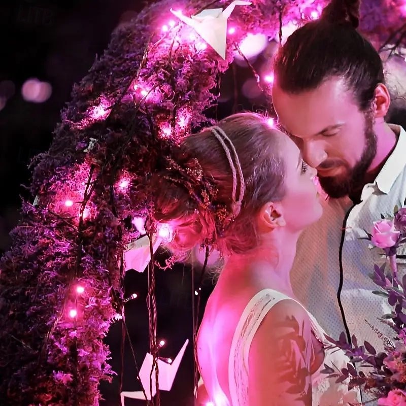 Christmas Solar / USB Powered Remote Controlled Tree Light 100m1000LEDs 8 Modes Lighting Outdoor Waterproof Garden Fairy String Lights for New Year's Wedding Patio Garden Camping Holiday Party Decor 2025 - $78.99 –P13