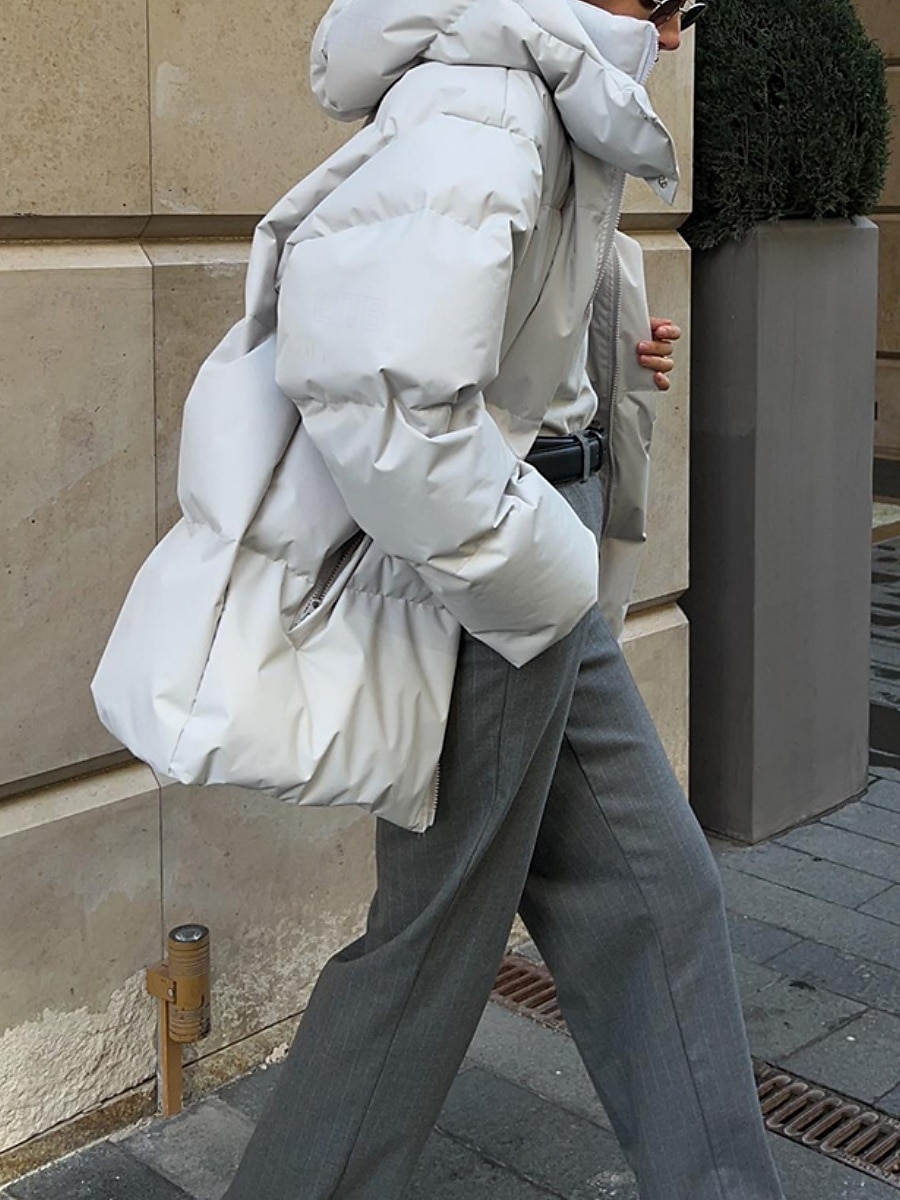 Dam Anorak Bekväm Andningsfunktion Dragkedja Ficka Ledigt Slät Semester Gata Ledigt Dagliga kläder Enkelknäppt Normal Huva Normal Långärmad Ytterkläder Svart Vin Brun Vår Höst 2025 - $109.99 –P3