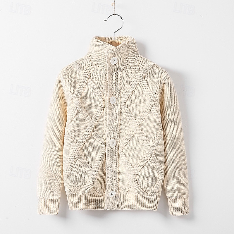 Barn Pojkar Tröja Ensfärgat Långärmad Knappar Utomhus Mode Rubinrött Höst Kläder 4-12 år 2026 - $19.99 –P9