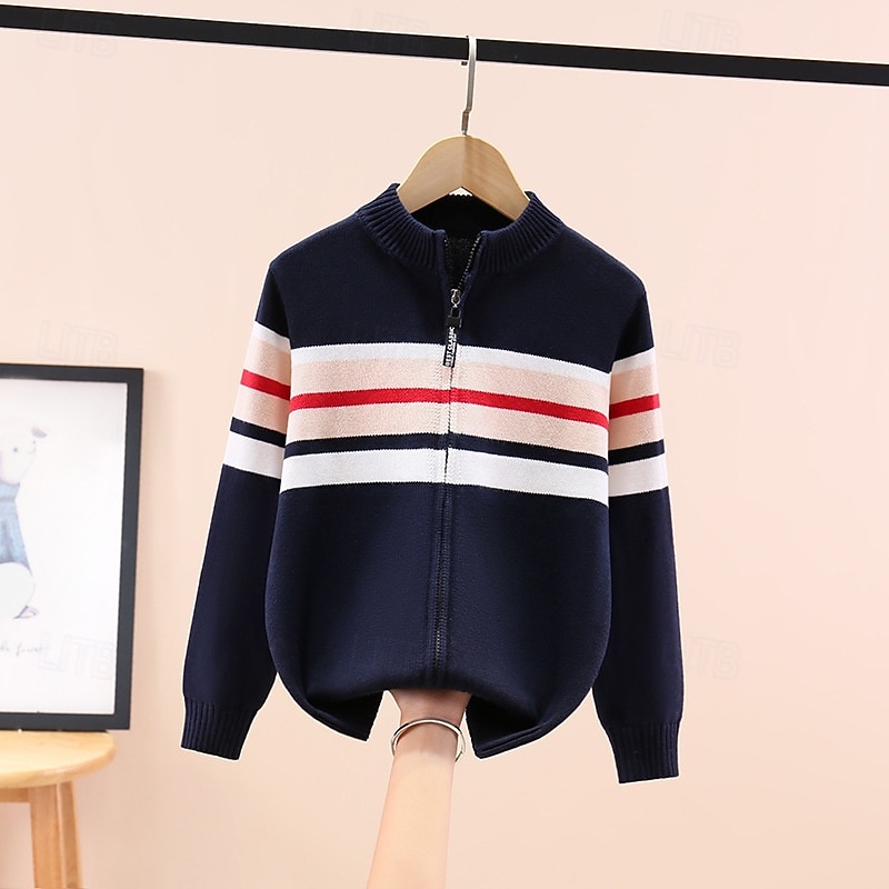 Chandail Enfants Garçons Rayure manche longue Garder au chaud Extérieur Mode Quotidien Basique bleu marine Gris Automne Hiver Vêtements 4 ans et + de 2026 ? $35.99 –P4