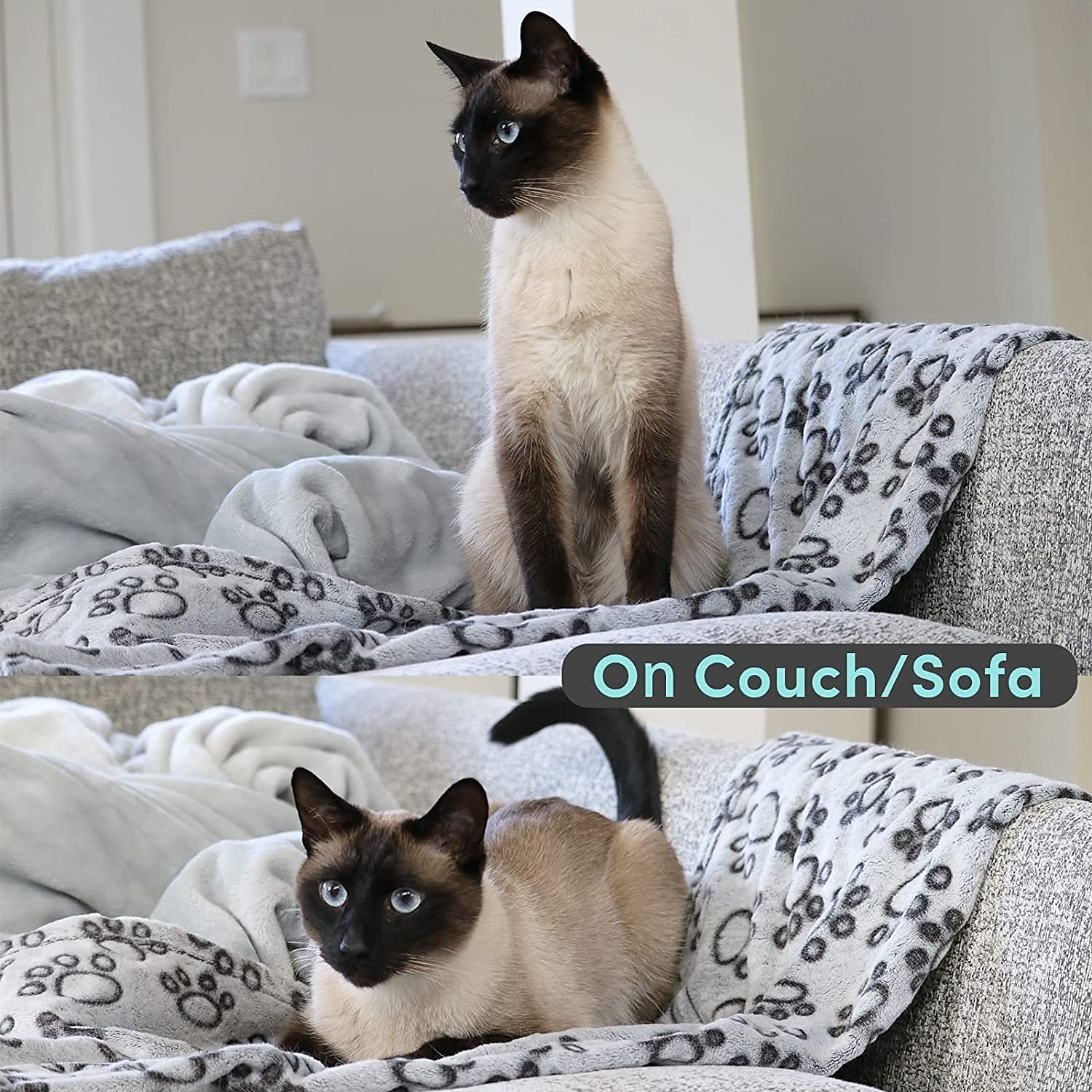 Couverture douce et lavable de qualité supérieure pour chiens et chats d'intérieur, idéale pour les chiens de toutes tailles et de tous âges, y compris les chiots. de 2026 ? $13.99 –P1