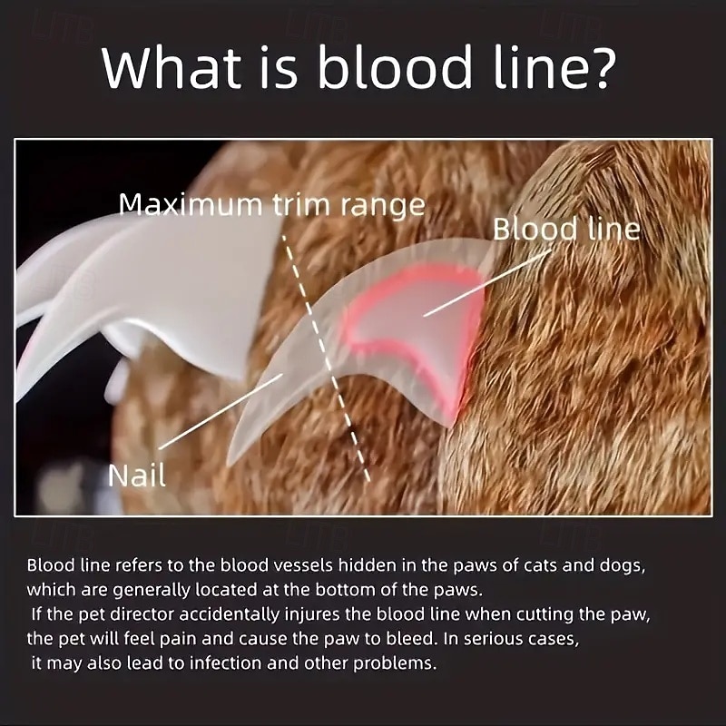 Светодиодная машинка для стрижки когтей для домашних животных с эргономичной нескользящей ручкой - точная для кошек &Когтерез для собак для безопасной и легкой стрижки — необходимые принадлежности для 2025 - $15.99 –P6