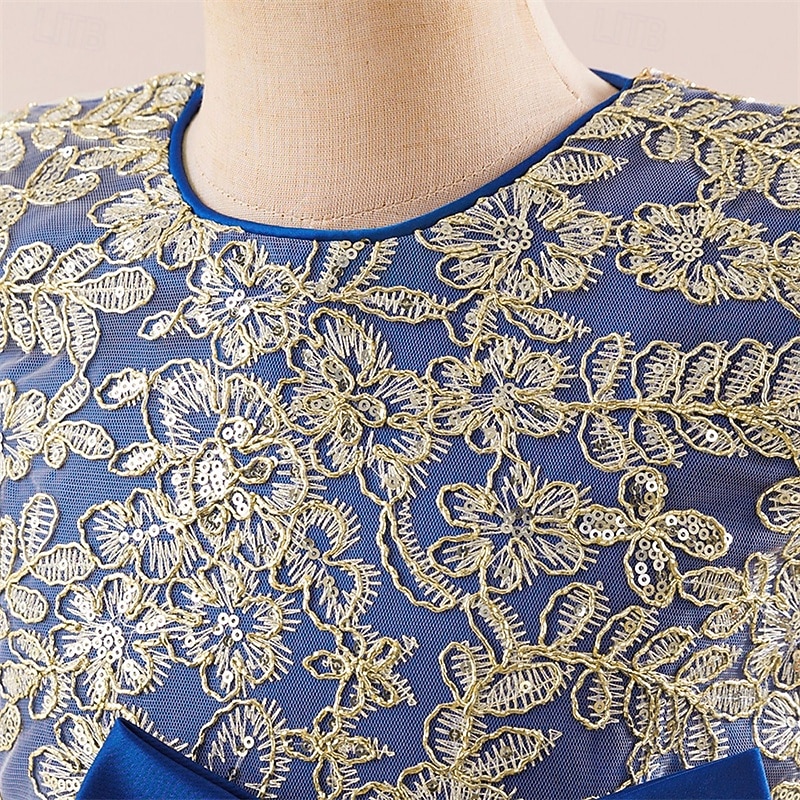 Enfants Fille Robe Robe de Soirée Couleur Unie Sans manches Formel Performance Occasion Spéciale Noeud de cravate Mode Quotidien Princesse Polyester Maxi Robe de Soirée Robe évasée Robe en Tulle Ét de 2026 ? $45.99 –P25