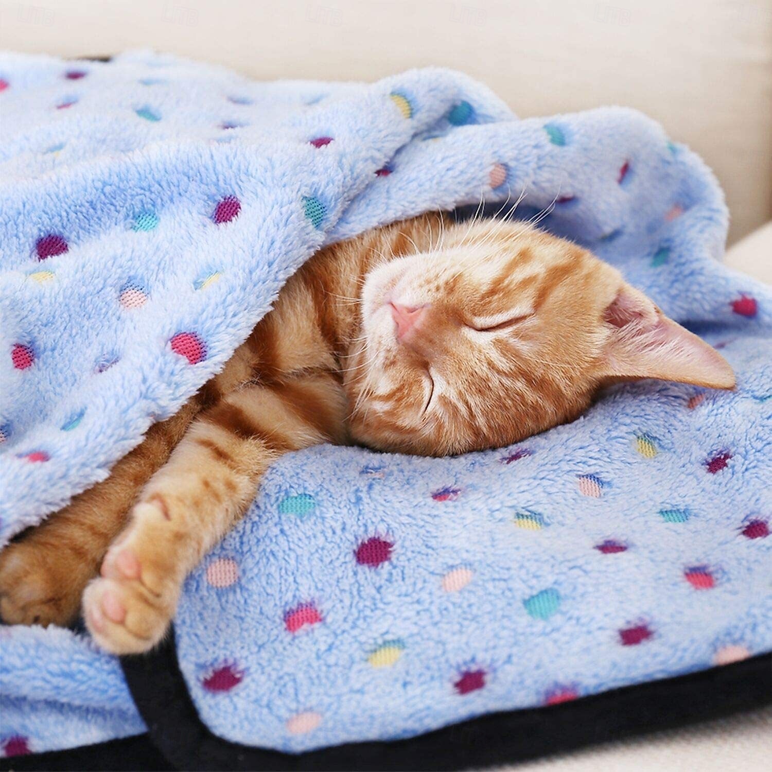 Premium Soft Dog Blanket Washable  Cat Blanket for Indoor Cats Large Medium Small Dog Puppy Essentials 2026 - $15.53 –P4
