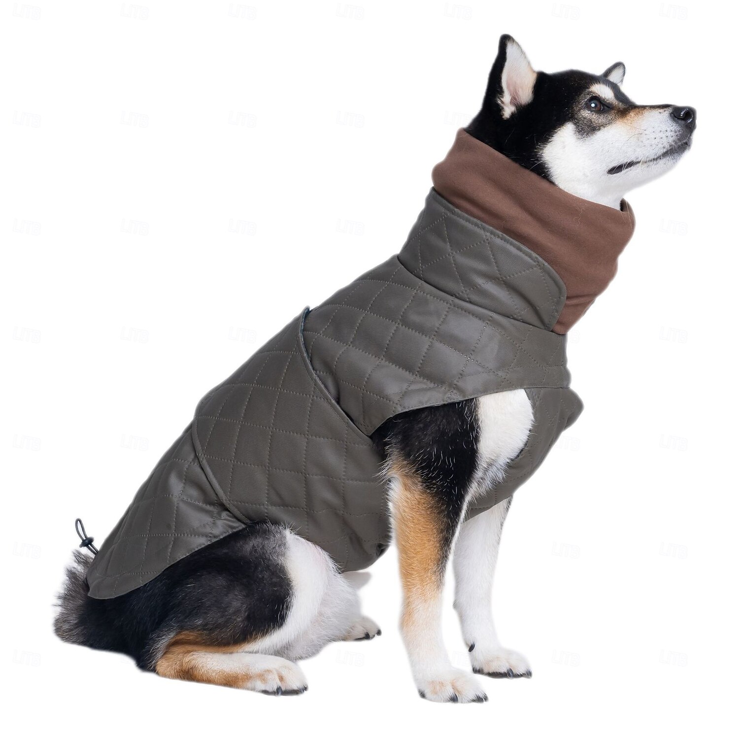 Warm Dog Winter Vest with Turtleneck for Medium Large Dogs - Quilted Pet Jacket for Cold Weather - Windproof & Comfortable 2026 - $27.99 –P4