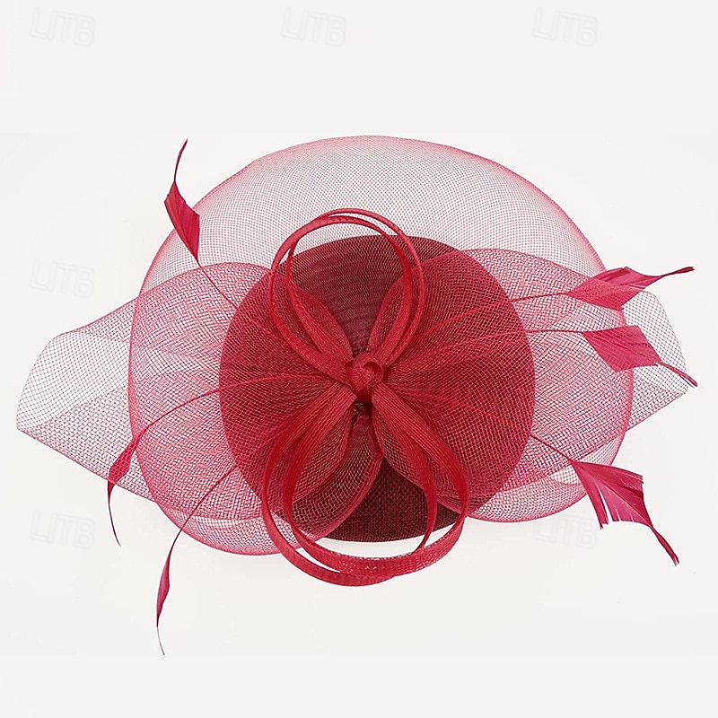 Decoração de Cabelo Pena Rede Formal Casamento Aniversário Elegante Vintage Com Penas Tule Capacete Chapéu de 2026 por $17.49 –P4