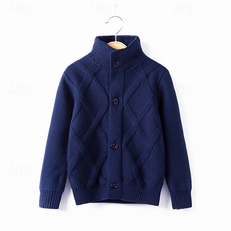 Barn Pojkar Tröja Ensfärgat Långärmad Knappar Utomhus Mode Rubinrött Höst Kläder 4-12 år 2026 - $19.99 –P6