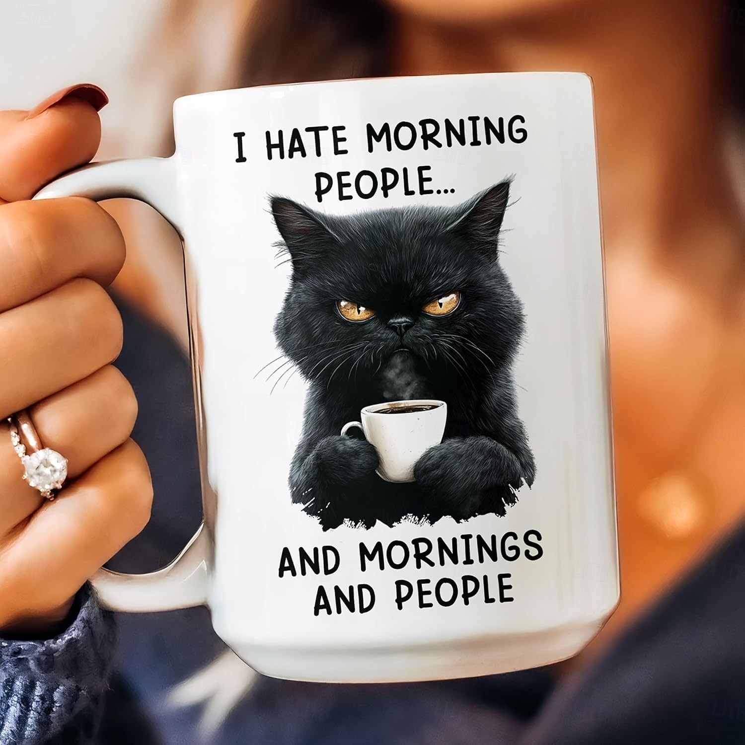 Funny Gift Mug I Hate Morning People And Mornings And People Ceramic Coffee Cup for Work Home Office Humor Gift for Friends Coworkers 2026 - $16.99 –P4