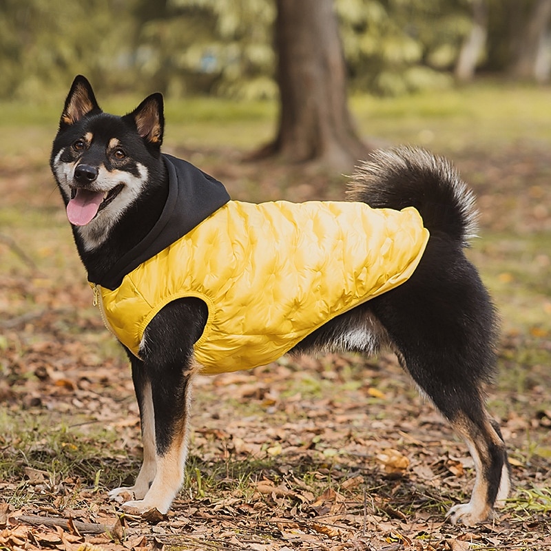 Hundemantel fr kleine bis mittelgroe Hunde, wasserdichte Winterjacke fr  Hunde, Welpen-Wintermantel, reflektierende Haustierweste, warmer  Fleece-Schneeanzug fr Hunde, winddicht 2026 - $24.99