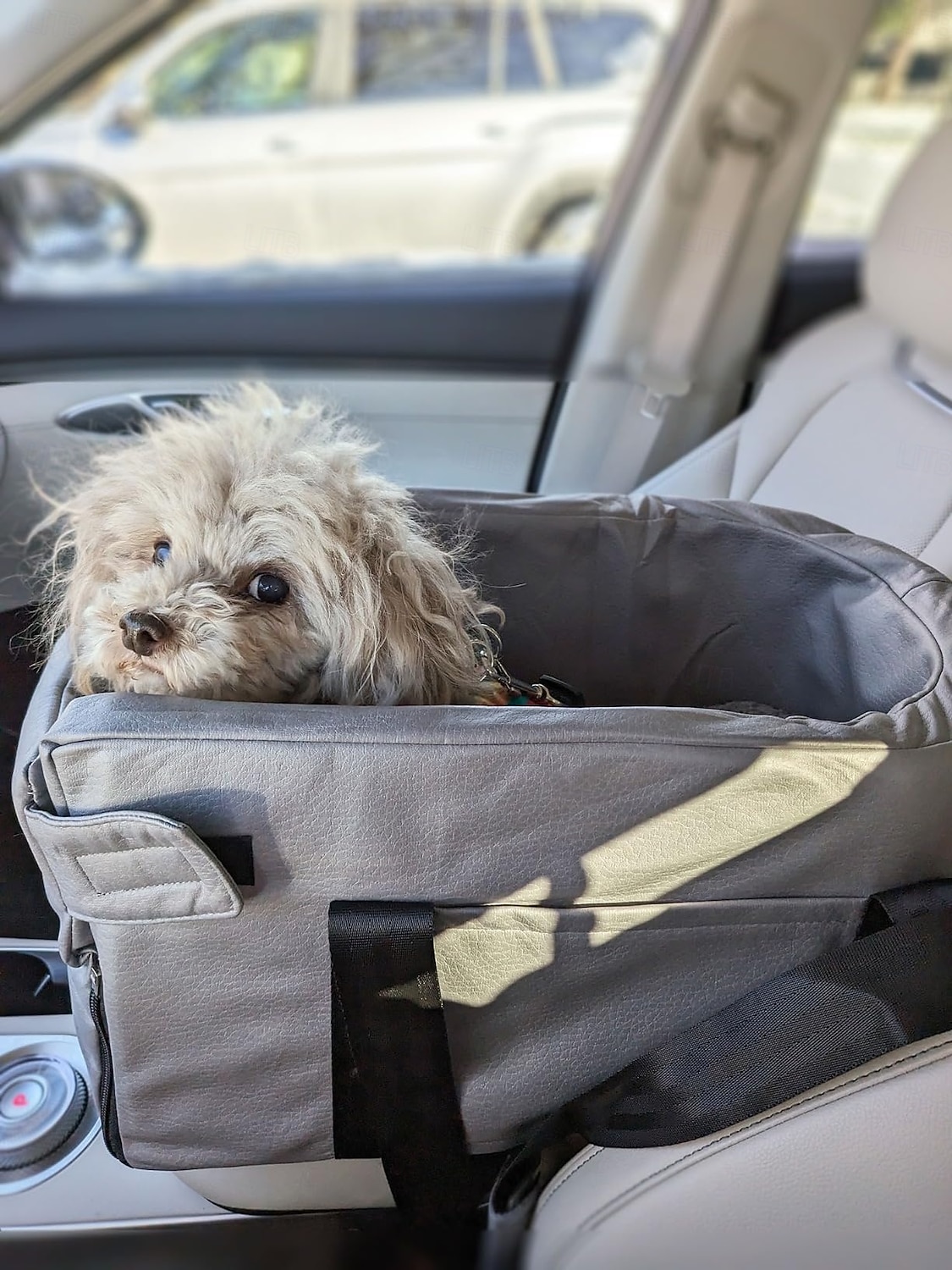 koiran turvaistuin, koiran turvaistuin pienille koirille, kannettava lemmikkien turvaistuin pennulle, keskikonsoli koiran turvaistuin turvallisella hihnalla, säilytystaskut, pehmeä tyyny 2026 - $167.99 –P8