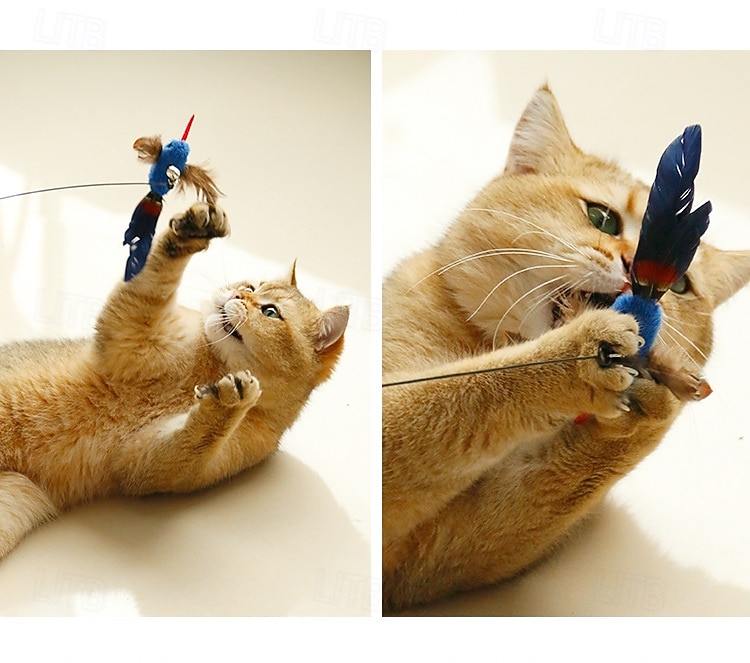 Handfree Bird/Feather Cat Wand with Bell Powerful Suction Cup Interactive Toys for Cats Kitten Hunting Exercise Pet Products 2026 - $25.99 –P7
