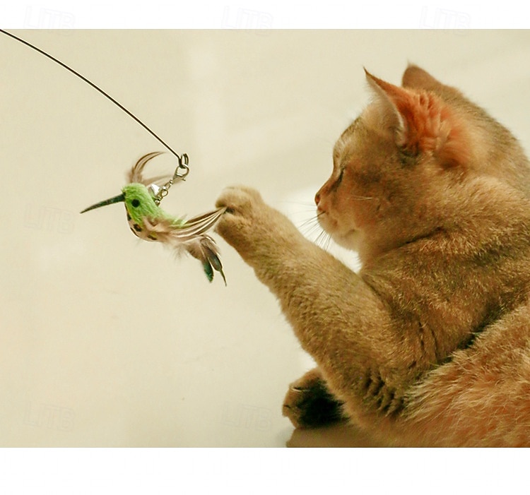 Handfree Bird/Feather Cat Wand with Bell Powerful Suction Cup Interactive Toys for Cats Kitten Hunting Exercise Pet Products 2026 - $25.99 –P3