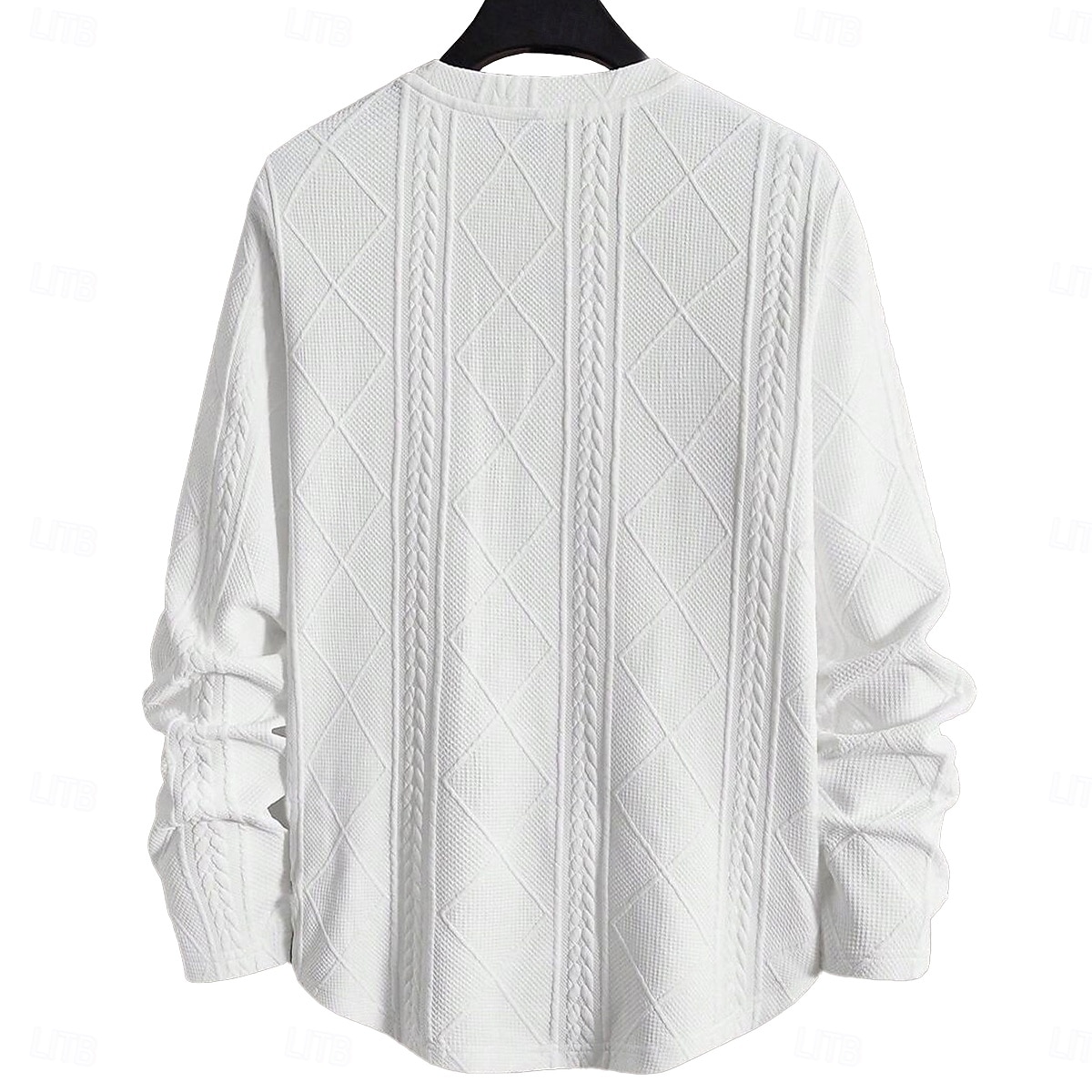 Муж. Футболка Рубашка с длинным рукавом Длинный рукав Вырез под горло Весна Осень Зима Геометрический принт Полотняное плетение Пит Стрип Мода Оригинальный рисунок Классический Жаккард Вязанная 2025 - $22.99 –P3