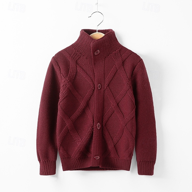Barn Pojkar Tröja Ensfärgat Långärmad Knappar Utomhus Mode Rubinrött Höst Kläder 4-12 år 2026 - $19.99 –P1