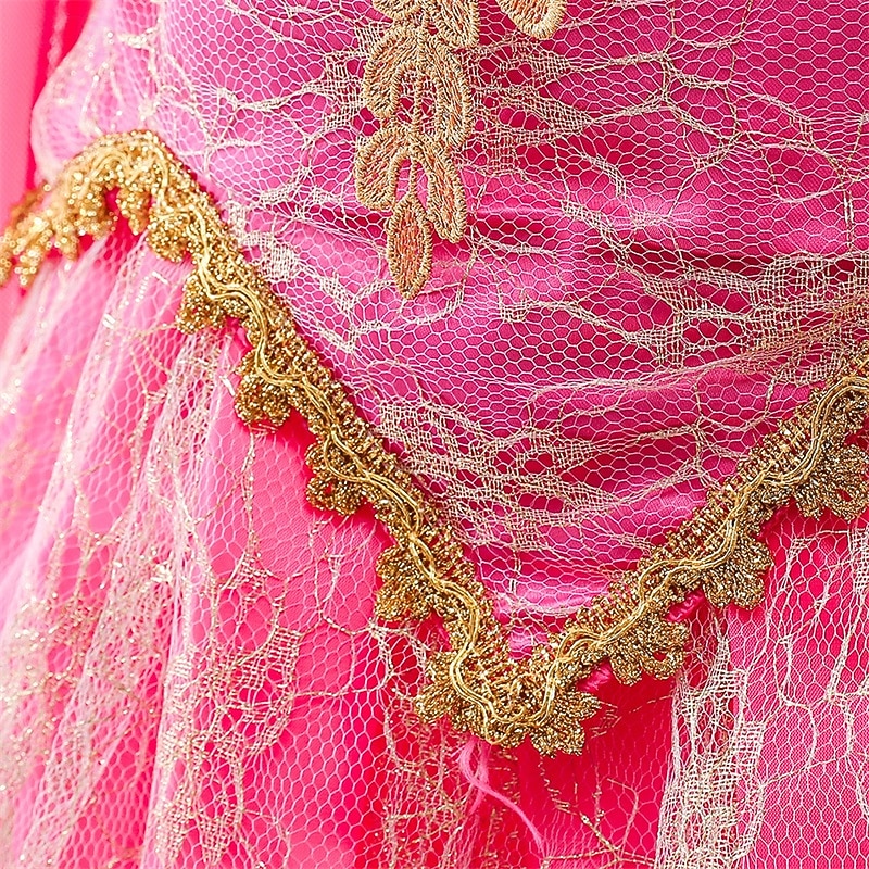 Vestido de festa infantil feminino para a Semana do Livro 2026, com estampa floral, manga longa, para ocasiões formais, apresentações e eventos especiais. Renda, estilo princesa, maxi, para uso diário, com modelagem evasê e tule. Disponível nas cores rosa de 2026 por $34.99 –P6