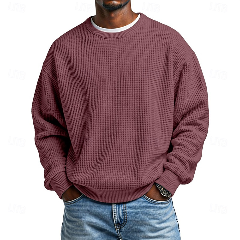 Per uomo Maglia Felpa a nido d'ape Maglione Aalbicocca Bianco Girocollo Semplice Testurizzato Casuale Quotidiano Sport & Outdoor Poliestere Streetwear Cool Abbigliamento Sportivo Primavera & Autunno del 2026 a $24.99 –P11