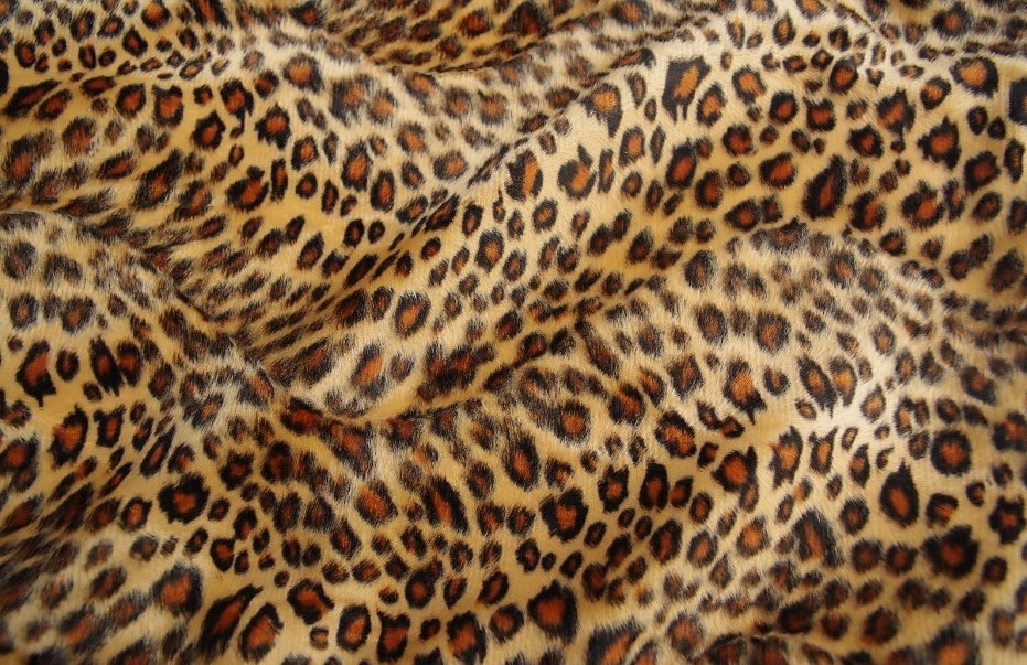 κομψή αιώρα γάτας με λεοπάρ μοτίβο - μαλακό βελούδινο κρεμαστό κρεβάτι για γάτες &μικρά κατοικίδια - άνετα &τάσεις 2025 - $13.99 –P17