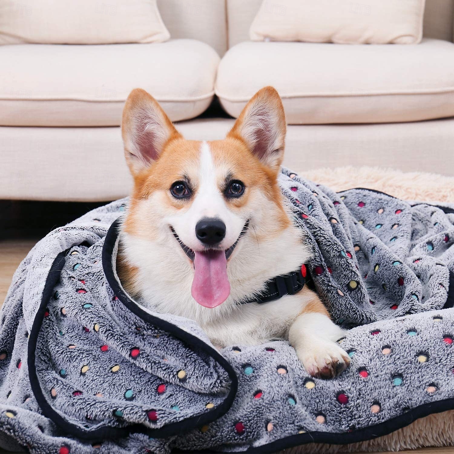 Premium Soft Dog Blanket Washable  Cat Blanket for Indoor Cats Large Medium Small Dog Puppy Essentials 2026 - $15.53 –P1