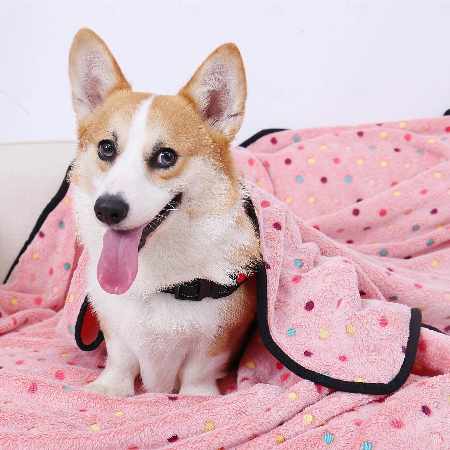 Premium Soft Dog Blanket Washable  Cat Blanket for Indoor Cats Large Medium Small Dog Puppy Essentials 2026 - $15.53 –P6