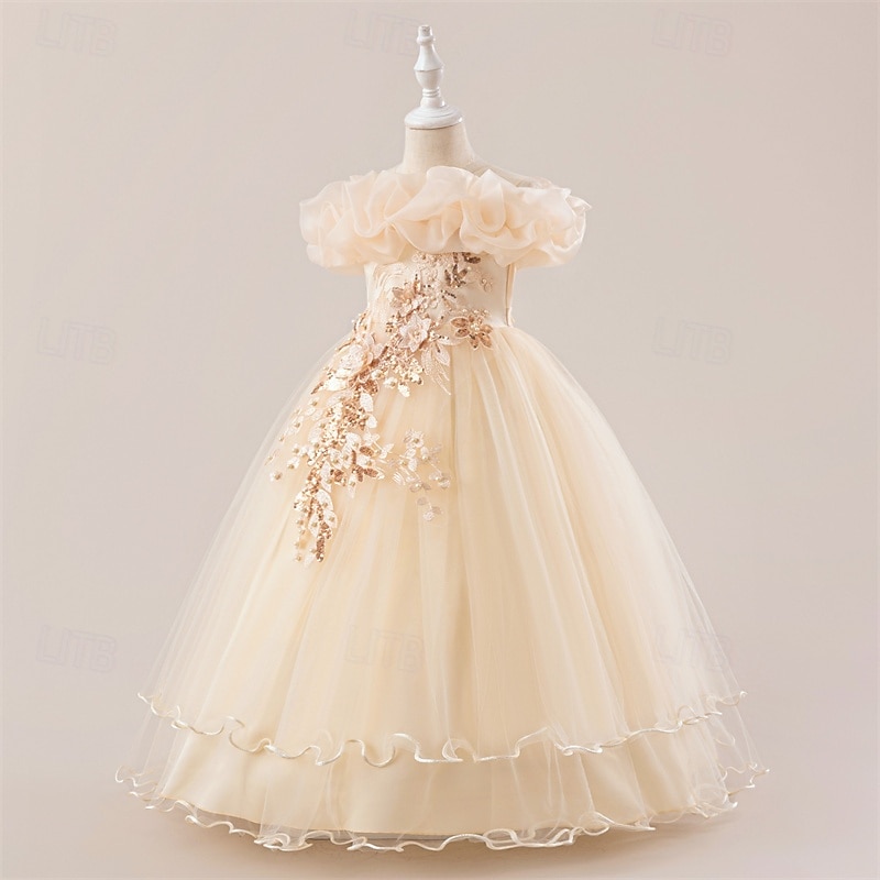 Lapset Tyttöjen Mekko Juhlamekko Yhtenäinen väri Hihaton Muodollinen Suoritus Erikoistilaisuus Pitsi Silmukka Muoti Päivittäin Prinsessa Polyesteri Maxi Juhlamekko Kellomekko Tyllimekko Kesä Kevät 4 2026 - $47.99 –P2