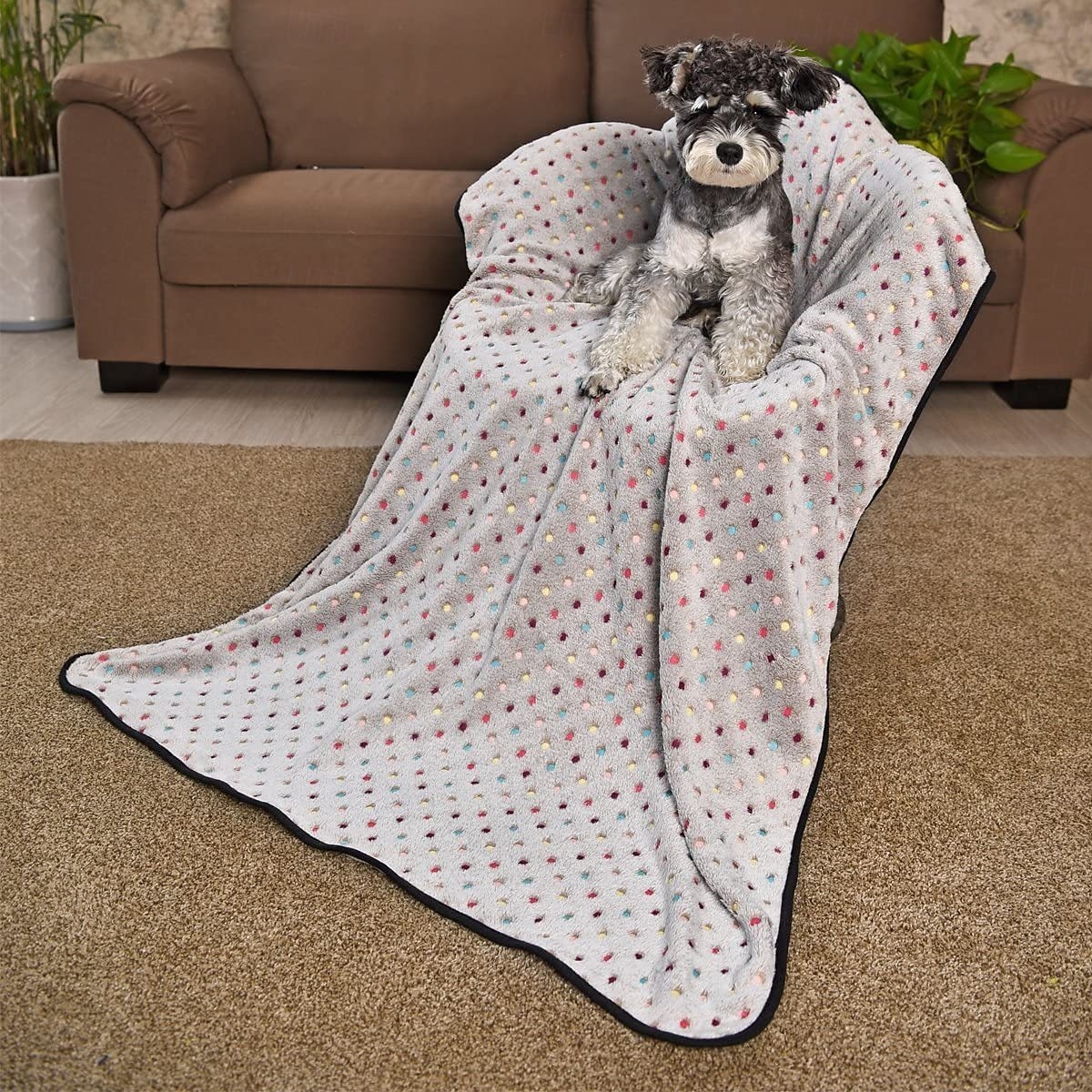 Premium Soft Dog Blanket Washable  Cat Blanket for Indoor Cats Large Medium Small Dog Puppy Essentials 2026 - $15.53 –P9