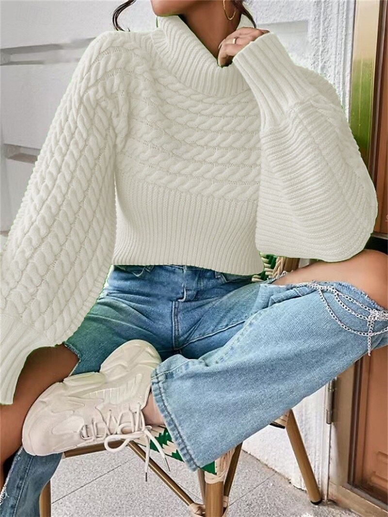 Damen Pullover Lässig Weich Einfarbig Gerippt Rollkragen Gestrickt Langarm Normale Oberteile Stricken Outdoor Täglich Wochenende Schwarz Weiß Herbst Winter 2025 - $23.99 –P5