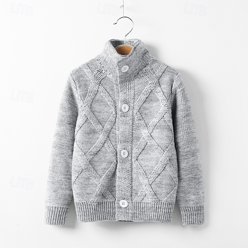 Barn Pojkar Tröja Ensfärgat Långärmad Knappar Utomhus Mode Rubinrött Höst Kläder 4-12 år 2026 - $19.99 –P3