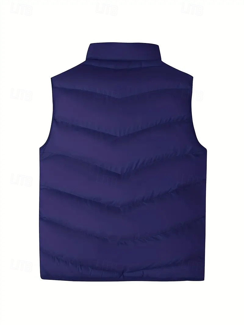 Per uomo Gilet imbottito Gilet Vacanza Quotidiano Data Moda Casual Autunno Inverno Tasca Poliestere Caldo Confortevole Tinta unica Cerniera Collo alla coreana Vestibilità regolare Blu Nero Giallo del 2026 a $30.99 –P15