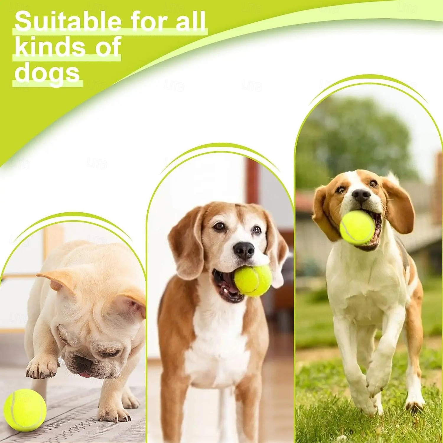 Dog Tennis Launcher Automatic Pet Dogs Chase Toy Mini Tennis Throwing Pinball 2026 - $291.29 –P1