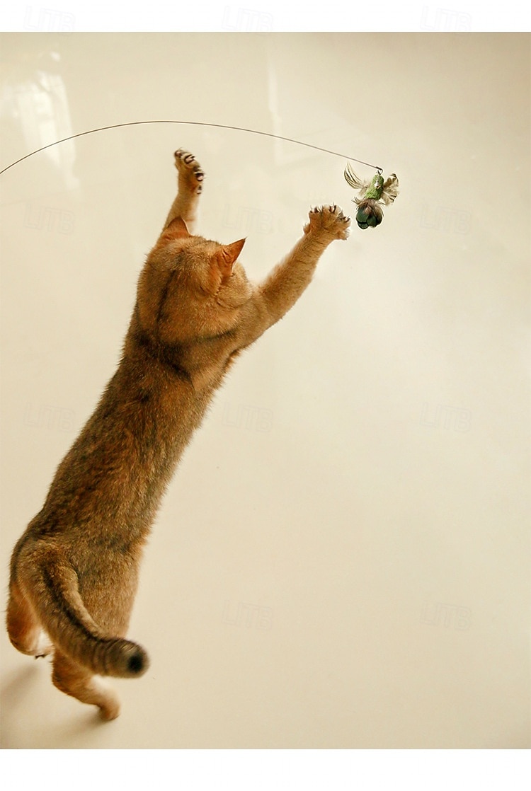 Handfree Bird/Feather Cat Wand with Bell Powerful Suction Cup Interactive Toys for Cats Kitten Hunting Exercise Pet Products 2026 - $25.99 –P5