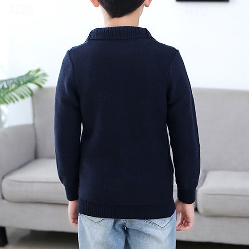 Barn Pojkar Tröja Ensfärgat Långärmad Knappar Utomhus Mode Rubinrött Höst Kläder 4-12 år 2026 - $19.99 –P8