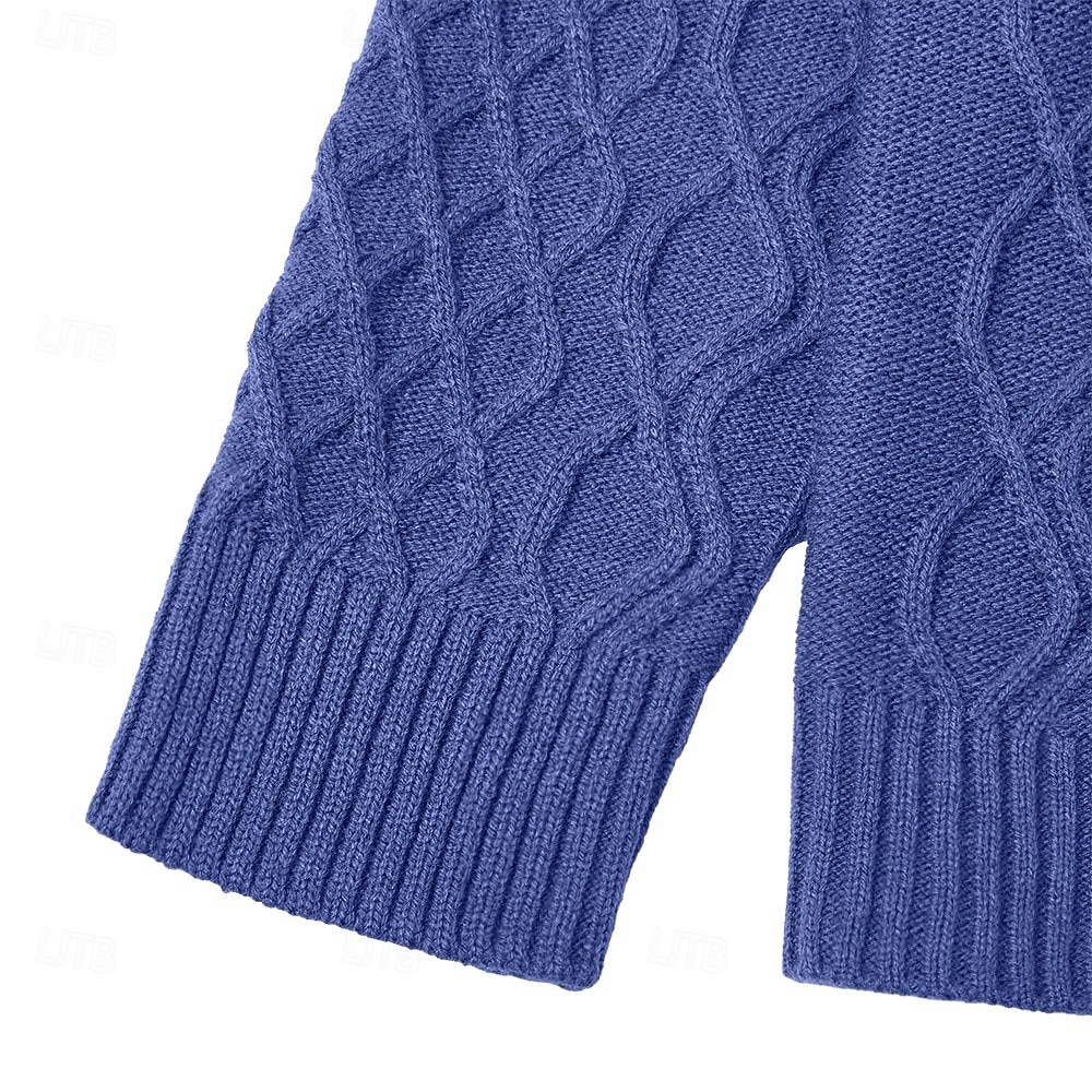 Homens camisolas de natal Pulôver suéter Cabo Tricotar Tops regulares Tricotado Quarter Zip Tecido Colarinho Chinês Contemporâneo Moderno Casual Natal Trabalho Roupa Primavera Outono & inverno Azul de 2026 por $36.99 –P2