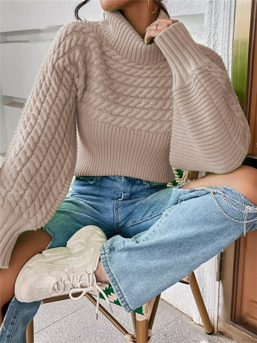 Damen Pullover Lässig Weich Einfarbig Gerippt Rollkragen Gestrickt Langarm Normale Oberteile Stricken Outdoor Täglich Wochenende Schwarz Weiß Herbst Winter 2025 - $23.99 –P4
