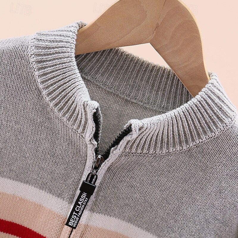 Chandail Enfants Garçons Rayure manche longue Garder au chaud Extérieur Mode Quotidien Basique bleu marine Gris Automne Hiver Vêtements 4 ans et + de 2026 ? $35.99 –P5