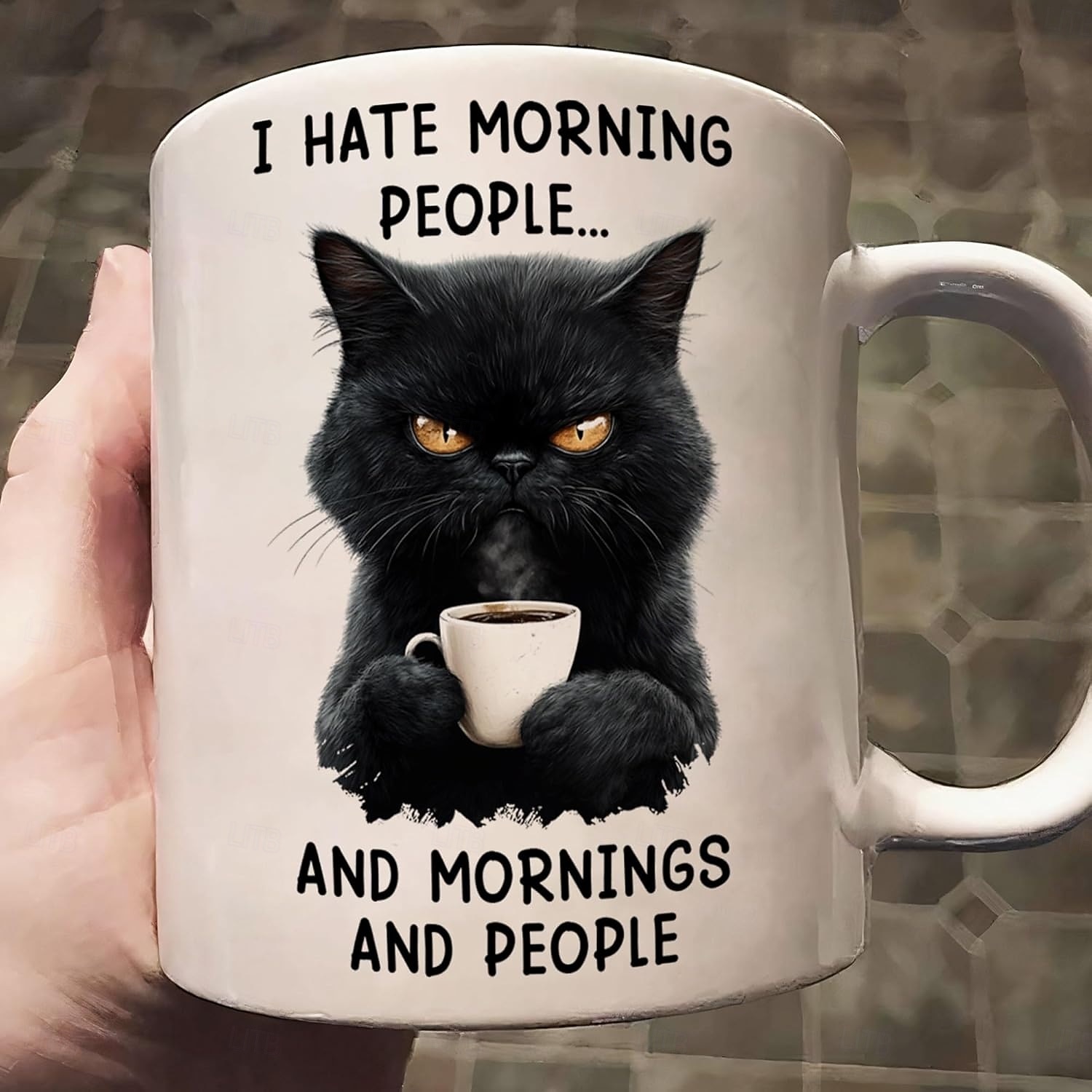 Funny Gift Mug I Hate Morning People And Mornings And People Ceramic Coffee Cup for Work Home Office Humor Gift for Friends Coworkers 2026 - $16.99 –P2