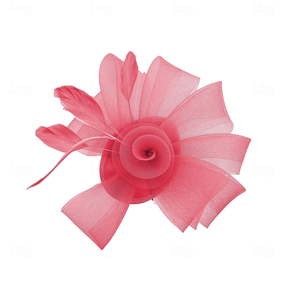 Аксессуары для волос Тюль  Перья Федора Свадьба Чаепитие Скачки коктейль Элегантный стиль Винтаж Простой С Пух Тюль Заставка Головной убор 2026 - $16.49 –P8