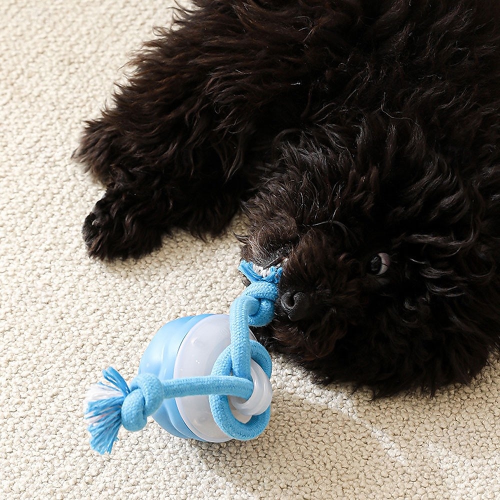 لعبة باور تيل 2.0 للكلاب، كرة تفاعلية للكلاب، كرة قفز 2026 - $25.99 –P8