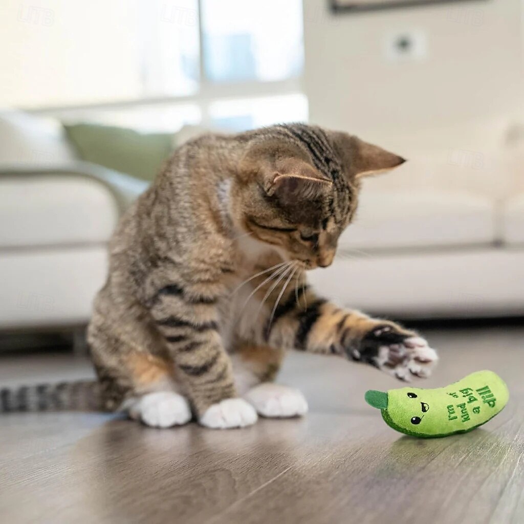 giocattolo dentale per gatti croccante con cetriolo e erba gatta del 2026 a $18.99 –P6