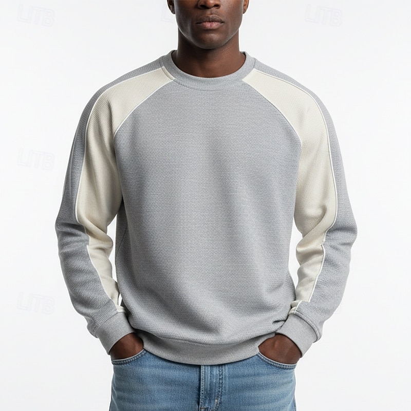 Ανδρικά Πουλόβερ Φούτερ πουλόβερ με κουκούλα και πουλόβερ Βαθυγάλαζο Γκρίζο Μπλε Απαλό Στρογγυλή Ψηλή Λαιμόκοψη Όρθιος γιακάς Σκέτο Κουρελού Μπλοκ χρωμάτων Causal Καθημερινά Αθλήματα & Ύπαιθρος 2026 - $28.99 –P1