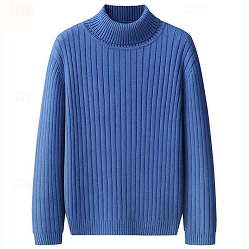 Bărbați Pulover cu gât rotic Pulover pulover Striat Tricotat Topuri obișnuite Tricotat Striat Simplu Gât Înalt De Bază Păstrați-vă cald Casual Purtare Zilnică Îmbrăcăminte Iarnă Albastru piscină Negru 2026 - $22.99 –P2