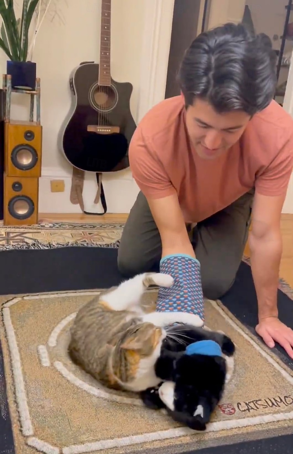 Cat Wrestling Glove Puppet Toy  Interactive Hand Mitt with Durable Protective Sleeve and Catnip - Play & Enrichment 2026 - $30.99 –P6