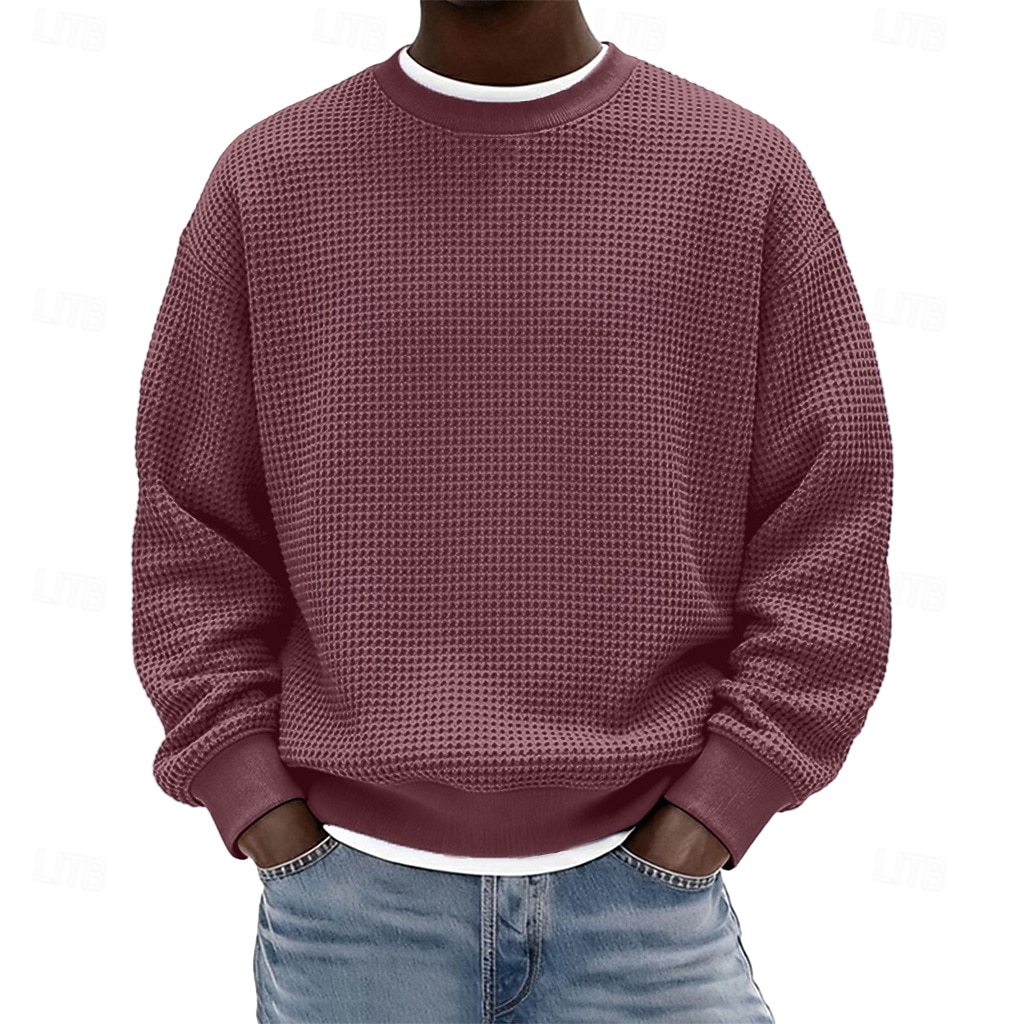 Férfi Pulóver Gofris pulóver Pulóver kapucnis pulóver Vörösbor Fekete Fehér Világoszöld Sötétkék Terített nyak Sima Texturált Hétköznapi Napi Sport & Szabadtéri Poliészter Utcai sikk Menő Sportruházat 2026 - $24.99 –P10