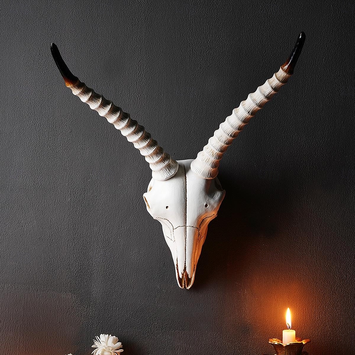 Decor de perete nordic cu craniu de animal viking, ornament suspendat din rășină cu craniu de berbec artificial, pentru casă, bar &decorațiuni de perete pentru restaurant, petrecere &recuzită 2026 - $34.99 –P6